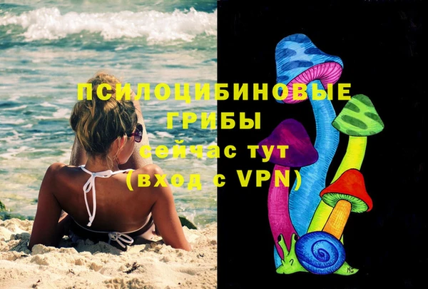 синтетический гашиш Алексеевка