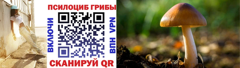 ссылка на мегу вход  купить закладку  Ковров  Галлюциногенные грибы Cubensis 